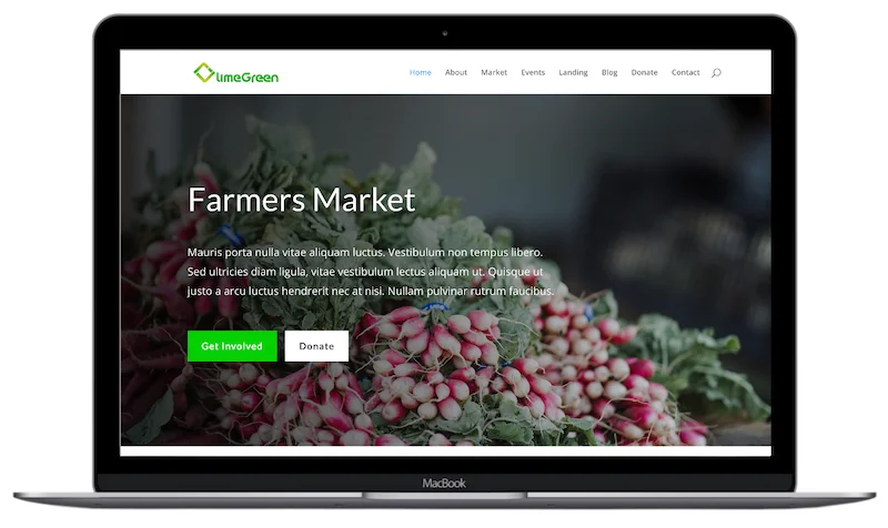 best Web developemt in california